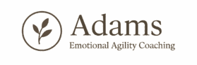 A WordPress Site